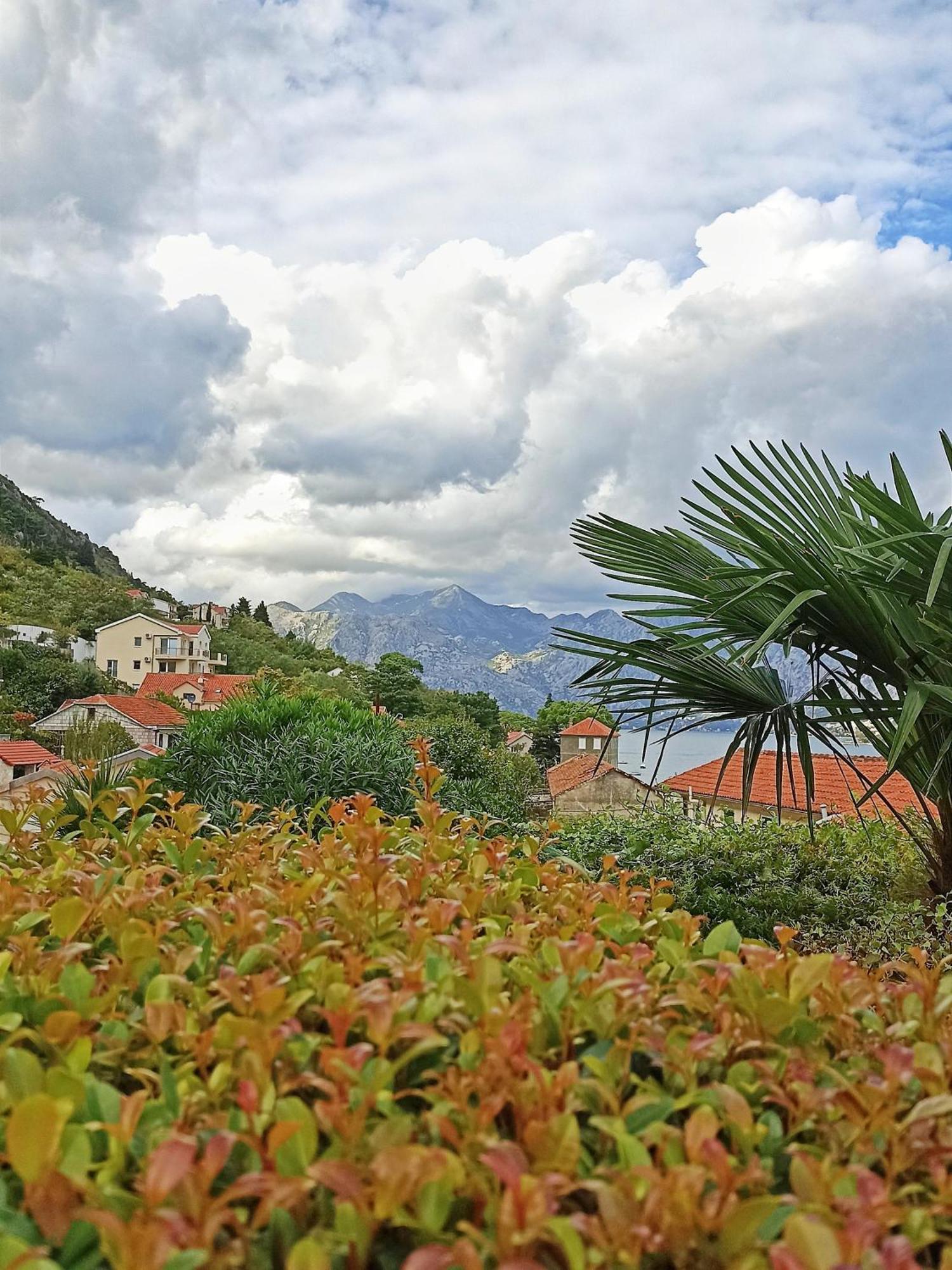 Apartment Kotor Kültér fotó